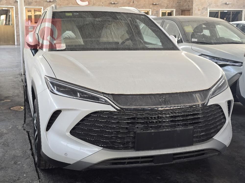 بي واي دي سونغ L DM-i